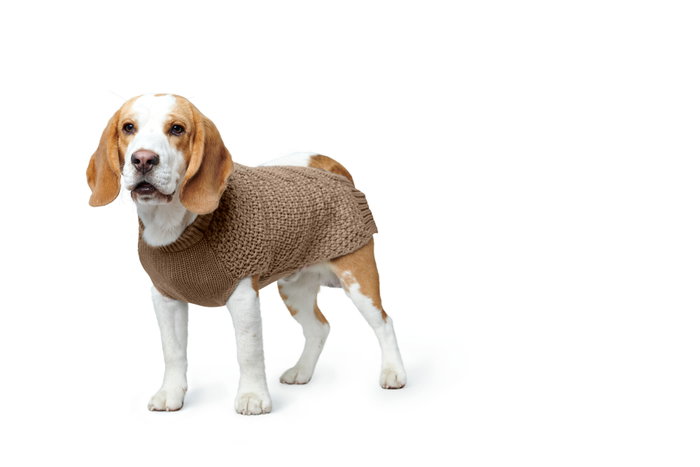 Hunter Dog Pullover Malmö, 35 cm Beige Hunter Dog Pullover Malmö, 35 cm Beige