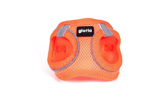 Arnés para Perro Gloria Air Mesh Trek Star Ajustable Naranja Talla XXXS (18-20 cm) Arnés para Perro Gloria Air Mesh Trek Star Ajustable Naranja Talla XXXS (18-20 cm)