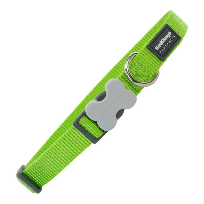 Red Dingo Collar Perro Liso Lima 20 mm x 31-47 cm (Set de 10)