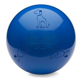 Company Of Animals Boomer Ball Pelota Superresistente Polietileno 15 cm