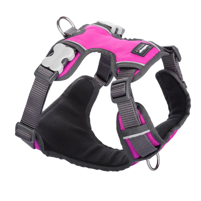 Red Dingo Petral Red Dingo Acolchado L Fucsia (Set de 10) Red Dingo Petral Red Dingo Acolchado L Fucsia (Set de 10)