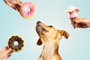 Gloria Peluche Para Perro Dognut Rosa Frosty (Set de 36)