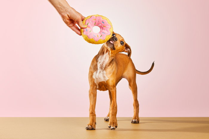 Gloria Peluche Para Perro Dognut Rosa Frosty (Set de 36) Gloria Peluche Para Perro Dognut Rosa Frosty (Set de 36)