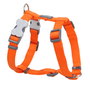 Red Dingo Arnés Liso Rd Naranja 25 mm Cuello: 46-76 cm (Set de 10)