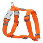 Red Dingo Arnés Liso Rd Naranja 25 mm Cuello: 46-76 cm (Set de 10)