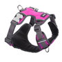 Red Dingo Petral Red Dingo Acolchado XS Fucsia (Set de 10) bearings