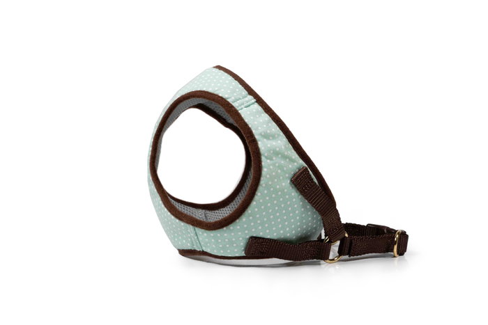 Gloria Petral Puntos Verde Talla M Cuello 27-35 cm - Malla Transpirable Acolchada con Ajuste Seguro Velcro y Cierre Rápido para Perros Gloria Petral Puntos Verde Talla M Cuello 27-35 cm - Malla Transpirable Acolchada con Ajuste Seguro Velcro y Cierre Rápido para Perros
