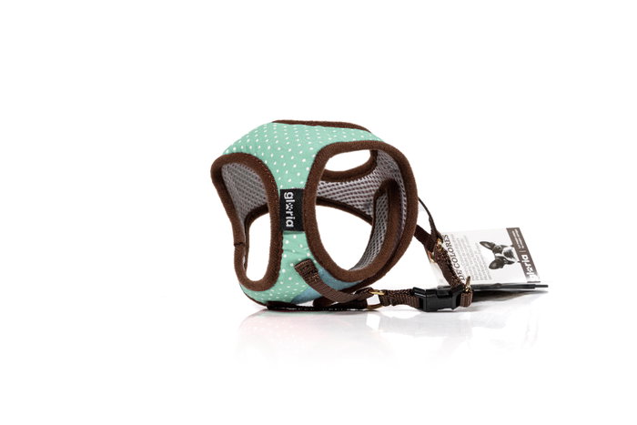Gloria Petral Puntos Verde Talla M Cuello 27-35 cm - Malla Transpirable Acolchada con Ajuste Seguro Velcro y Cierre Rápido para Perros Gloria Petral Puntos Verde Talla M Cuello 27-35 cm - Malla Transpirable Acolchada con Ajuste Seguro Velcro y Cierre Rápido para Perros