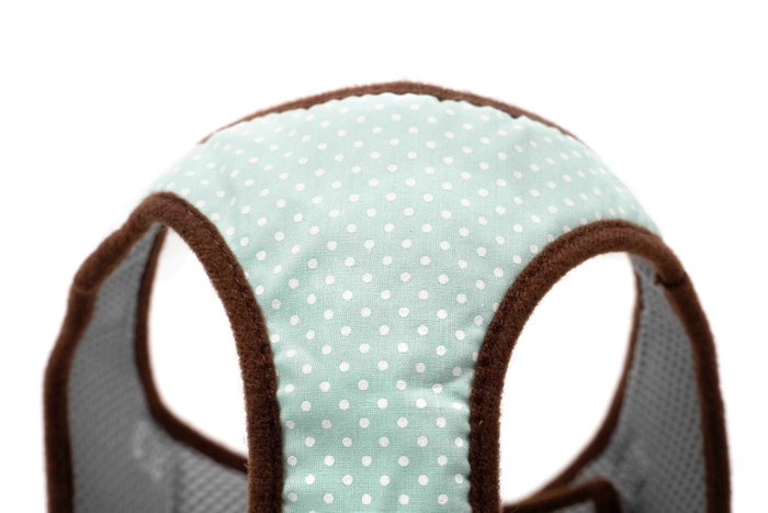 Gloria Petral Puntos Verde Talla M Cuello 27-35 cm - Malla Transpirable Acolchada con Ajuste Seguro Velcro y Cierre Rápido para Perros Gloria Petral Puntos Verde Talla M Cuello 27-35 cm - Malla Transpirable Acolchada con Ajuste Seguro Velcro y Cierre Rápido para Perros