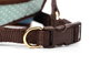 Gloria Petral Puntos Verde Talla M Cuello 27-35 cm - Malla Transpirable Acolchada con Ajuste Seguro Velcro y Cierre Rápido para Perros