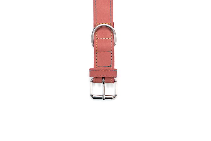 Gloria Collar Oasis 70 cm X 30 mm Rosa para Perro, Piel Nobuck Doble Capa Costura Reforzada Gloria Collar Oasis 70 cm X 30 mm Rosa para Perro, Piel Nobuck Doble Capa Costura Reforzada