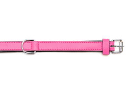 Gloria Collar Piel Acolchado 50 cm X 25 mm Fuxia