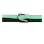 Gloria Collar Piel Acolchado 55 cm X25 mm Verde para Perro