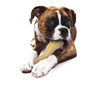 Nylabone Extreme Chew Big Beef Bone XXL (Set de 24) sabor a ternera