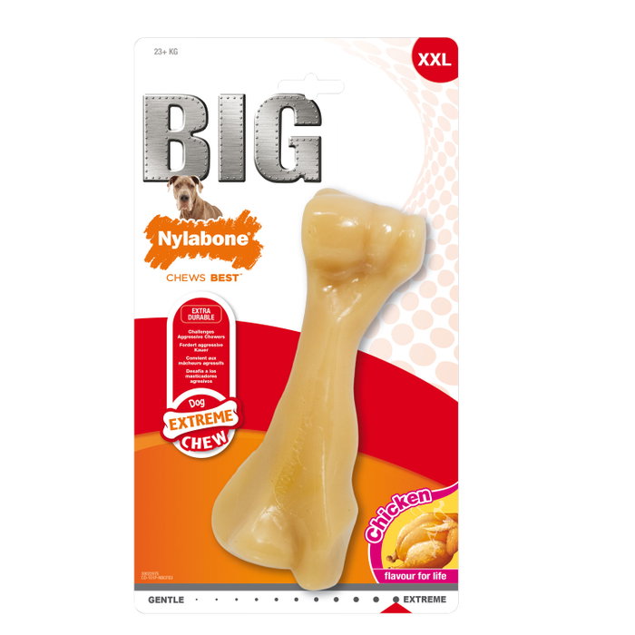 Nylabone Extreme Chew Big Beef Bone XXL (Set de 24) sabor a ternera Nylabone Extreme Chew Big Beef Bone XXL (Set de 24) sabor a ternera