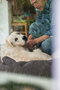 Hunter Sofá Boston 60x50 cm Marrón para Perros Diseño Clásico Acogedor con Funda Extraíble