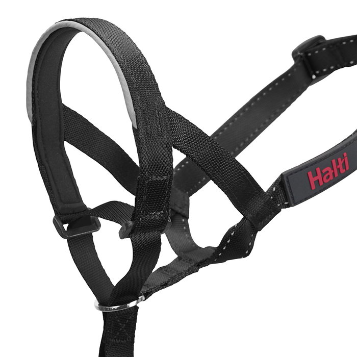 Company Of Animals Halti Collar Negro 1