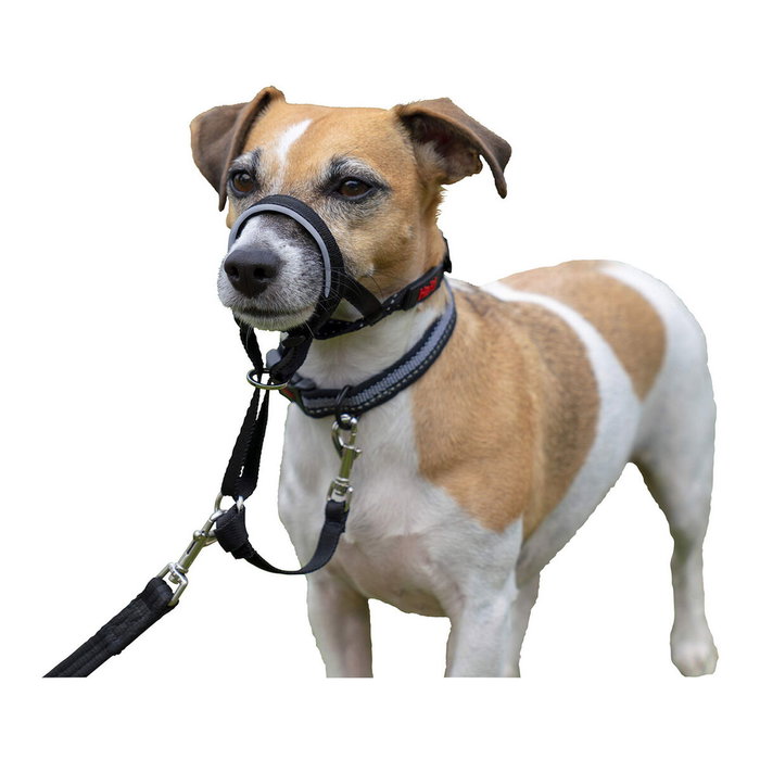 Company Of Animals Halti Collar Negro 1