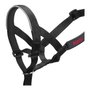 Company Of Animals Halti Collar Negro 3