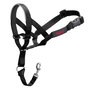 Company Of Animals Halti Collar Negro 4