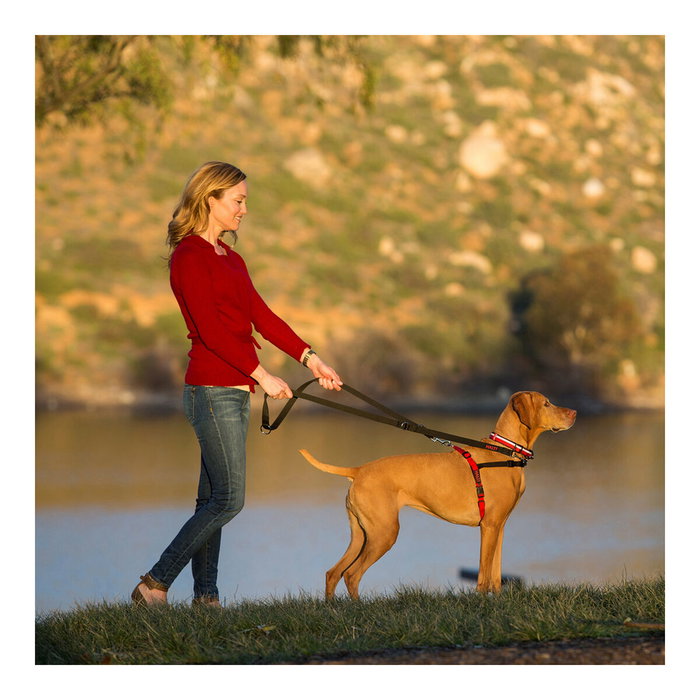 Company Of Animals Halti Arnés Talla L Company Of Animals Halti Arnés Talla L