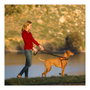 Company Of Animals Halti Arnés Talla L