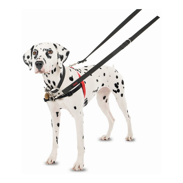 Company Of Animals Halti Arnés Talla L Company Of Animals Halti Arnés Talla L