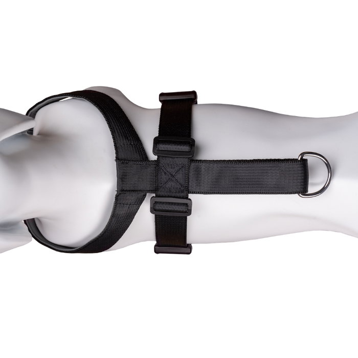 Company Of Animals Carsafe Dog Travel Harnéss Negro XS (Set de 48)
