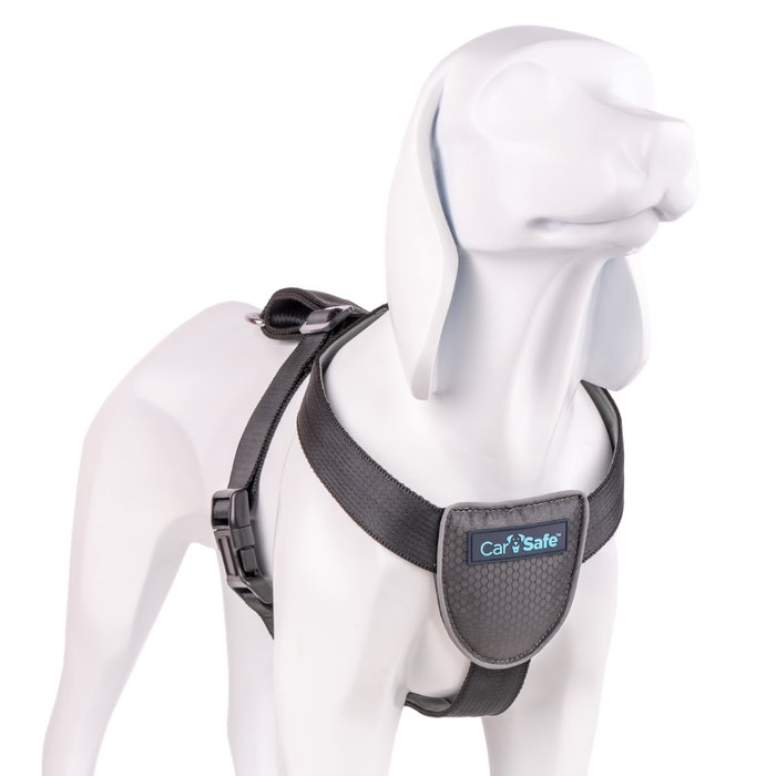 Company Of Animals Carsafe Dog Travel Harnéss Negro XS (Set de 48)