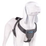 Company Of Animals Carsafe Dog Travel Harnéss Negro XS (Set de 48)