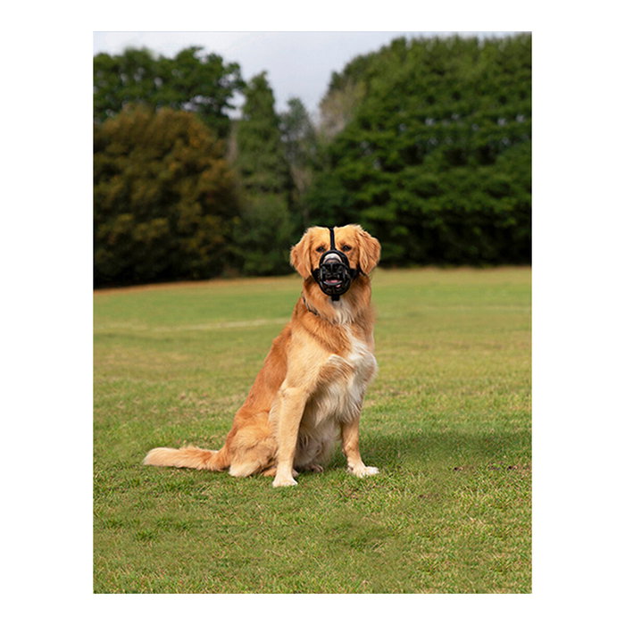 Company Of Animals Baskerville Ultra Muzzle Negro