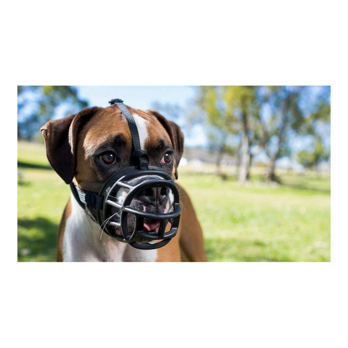 Company Of Animals Baskerville Ultra Muzzle Negro