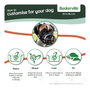 Company Of Animals Baskerville Ultra Muzzle Negro