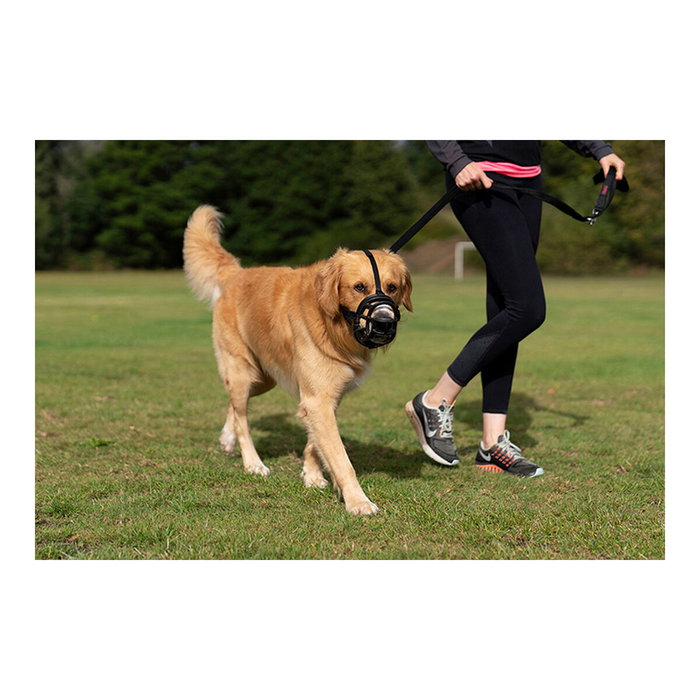 Company Of Animals Baskerville Ultra Muzzle Negro