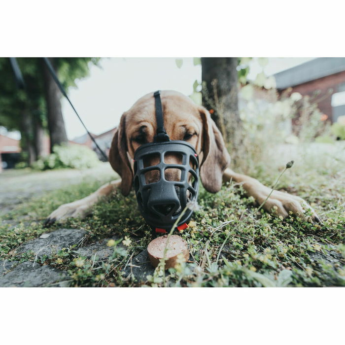 Hunter Bozal Albury 5 Negro para Perros Pequeños Medidas A 8.5cm B 30cm C 78cm con Protección