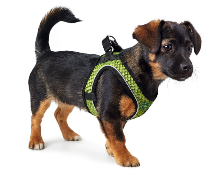 Hunter Arnés Hilo Comfort M Lima Talla M Cuello 55-60cm Pecho 58-65cm
