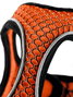 Hunter Arnés Hilo Comfort S para Perro Cuello 42-48 cm Pecho 46-52 cm Naranja