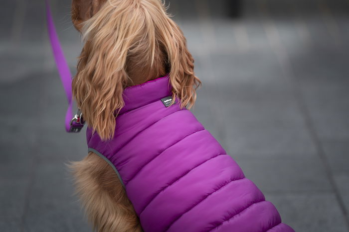 Red Dingo Rd Puffer Jacket Abrigo Reversible Morado-Rosa 45 cm Ligero Resistente al Viento Neopreno