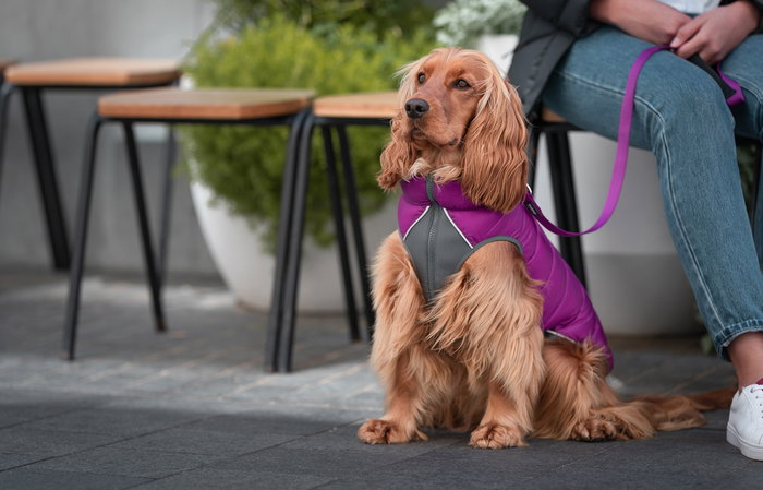 Red Dingo Abrigo Reversible Rd Puffer Jacket Morado-Rosa 50 cm, Chaleco Ligero Resistente al Viento con Neopreno en el Pecho Red Dingo Abrigo Reversible Rd Puffer Jacket Morado-Rosa 50 cm, Chaleco Ligero Resistente al Viento con Neopreno en el Pecho