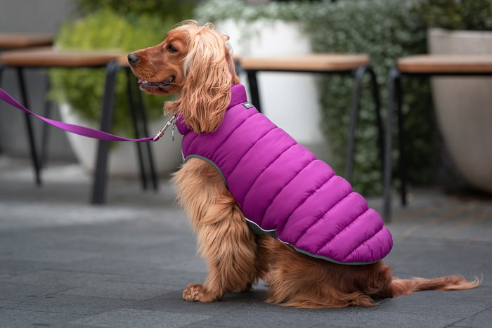 Red Dingo Abrigo Reversible Rd Puffer Jacket Morado-Rosa 50 cm, Chaleco Ligero Resistente al Viento con Neopreno en el Pecho Red Dingo Abrigo Reversible Rd Puffer Jacket Morado-Rosa 50 cm, Chaleco Ligero Resistente al Viento con Neopreno en el Pecho