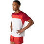 Camiseta de Manga Corta Hombre Asics 2011A781-107 Rojo