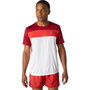 Camiseta de Manga Corta Hombre Asics 2011A781-107 Rojo