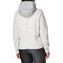 Sudadera con Capucha Mujer Under Armour Gris claro 41