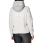 Sudadera con Capucha Mujer Under Armour Gris claro 41