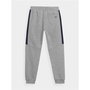 Pantalón Largo Deportivo 4F JSPMD002 Gris XS
