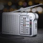 Panasonic RF-P150DEG-S Plata