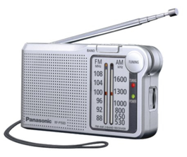 Panasonic RF-P150DEG-S Plata