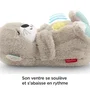 Fisher-Price Nutria Soothe ''n Snuggle Hora De Dormir