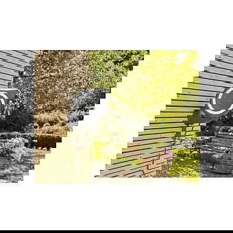 Gardena RollUp M Carrete de pared automático para manguera 20 m blanco