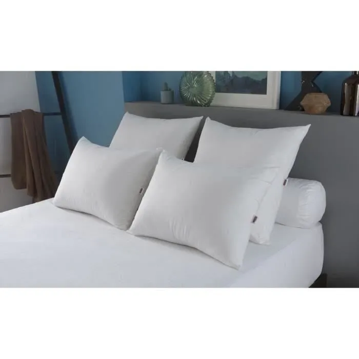 Dodo Almohada Grand luxe Quallofil Allerban 60x60 cm Blanco Algodón Lujo Tratamiento Antiácaros Fabricación Francesa